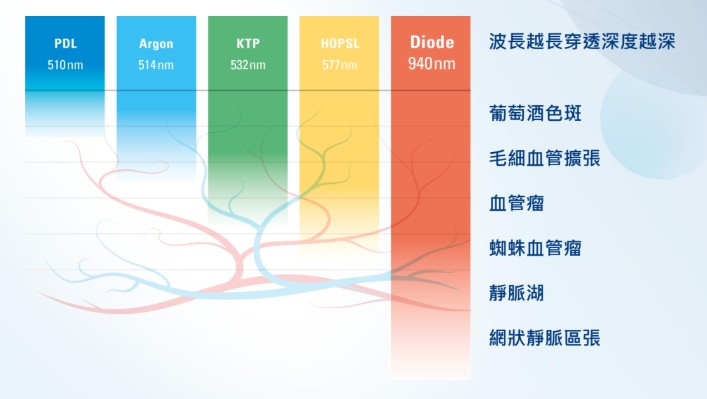 星粉餅雷射 5 五種雷射波長穿透深度比較,Diode 940nm 對應血管類膚況